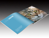 精美画册-猫科动物